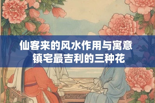 仙客来的风水作用与寓意  镇宅最吉利的三种花