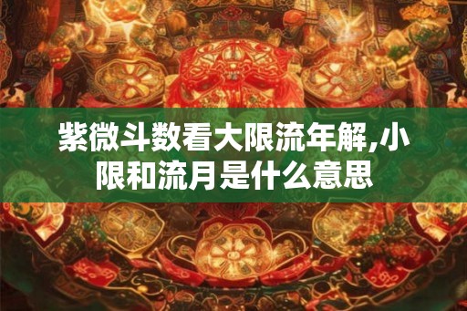 紫微斗数看大限流年解,小限和流月是什么意思