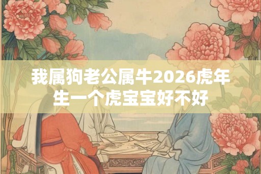 我属狗老公属牛2026虎年生一个虎宝宝好不好 我属狗老公属牛2026虎年生一个虎宝宝好不好