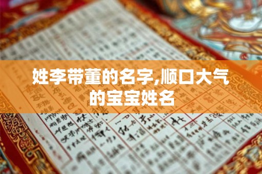 姓李带董的名字,顺口大气的宝宝姓名