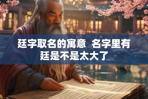 廷字取名的寓意  名字里有廷是不是太大了