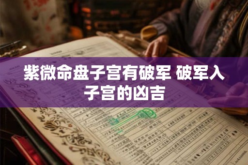 紫微命盘子宫有破军 破军入子宫的凶吉
