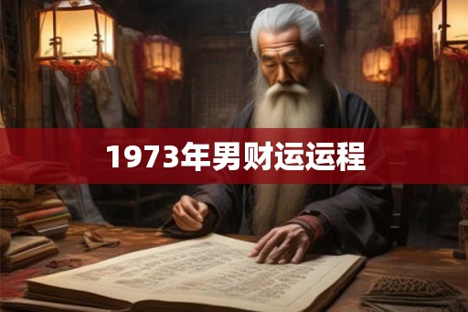1973年男财运运程
