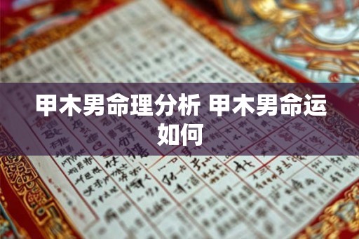 甲木男命理分析 甲木男命运如何