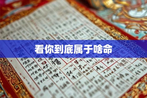 看你到底属于啥命 看你到底属于啥命