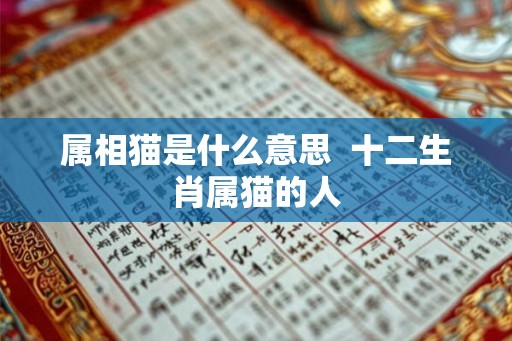 属相猫是什么意思  十二生肖属猫的人