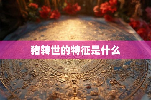 猪转世的特征是什么