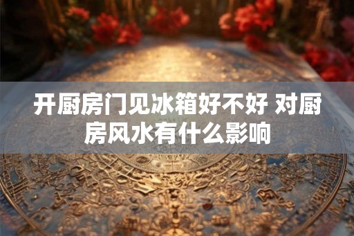 开厨房门见冰箱好不好 对厨房风水有什么影响