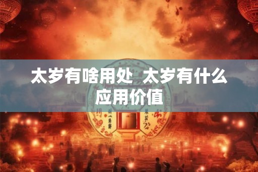 太岁有啥用处  太岁有什么应用价值