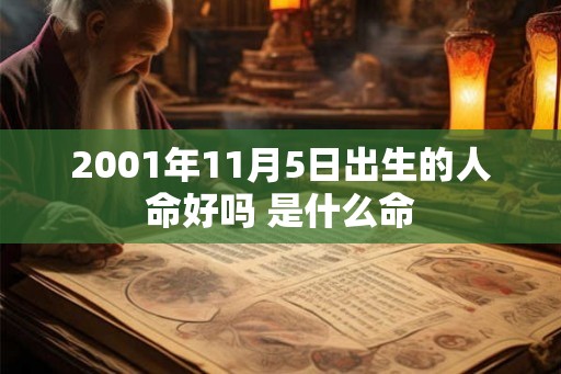2001年11月5日出生的人命好吗 是什么命 2001年11月5日出生的人命好吗 是什么命