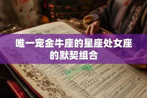 唯一宠金牛座的星座处女座的默契组合