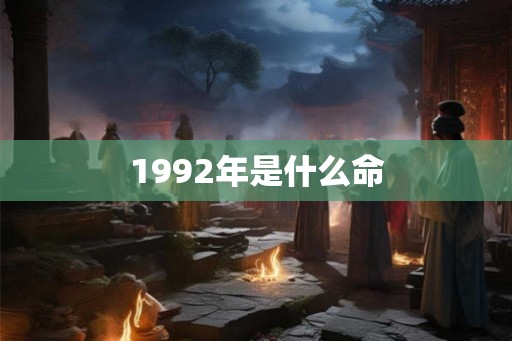 1992年是什么命