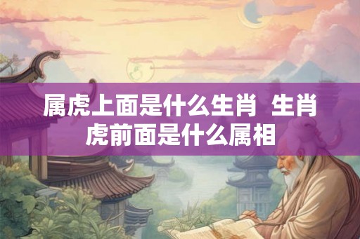 属虎上面是什么生肖  生肖虎前面是什么属相