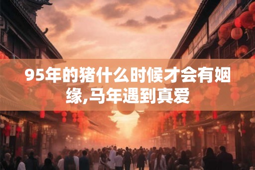 95年的猪什么时候才会有姻缘,马年遇到真爱