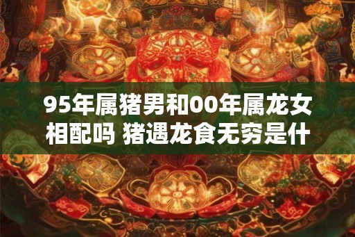 95年属猪男和00年属龙女相配吗 猪遇龙食无穷是什么意思
