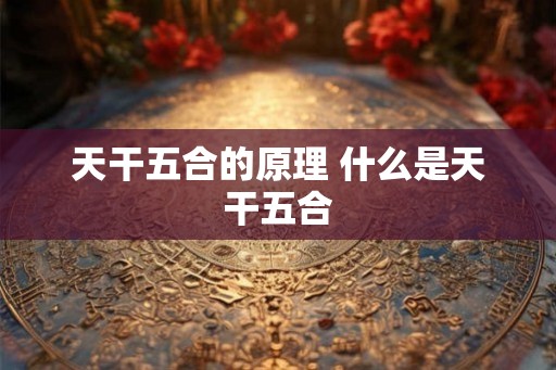 天干五合的原理 什么是天干五合