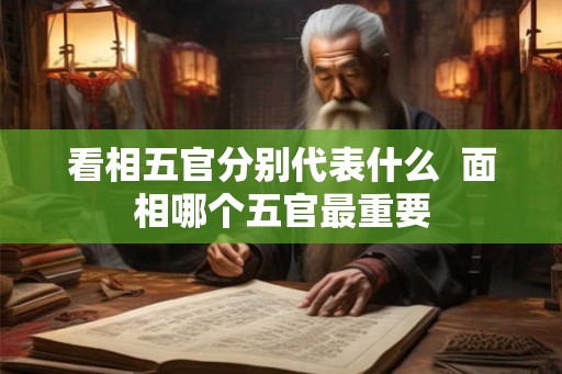 看相五官分别代表什么  面相哪个五官最重要