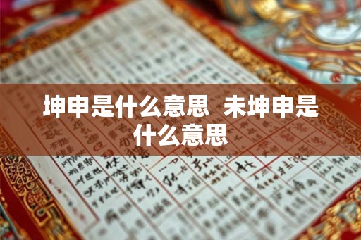 坤申是什么意思  未坤申是什么意思