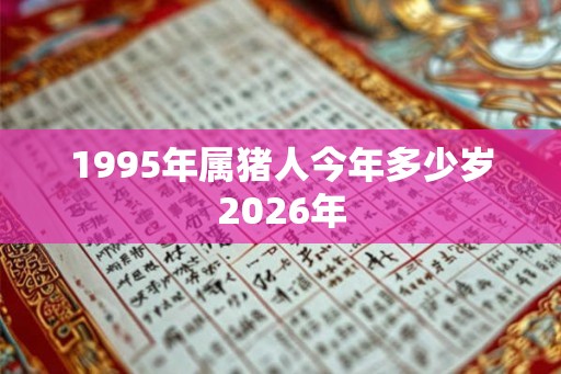 1995年属猪人今年多少岁2026年 1995年属猪人今年多少岁2026年