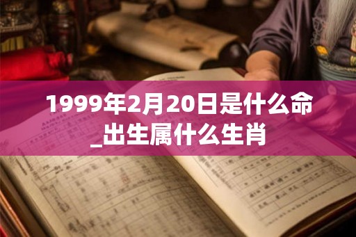 1999年2月20日是什么命_出生属什么生肖