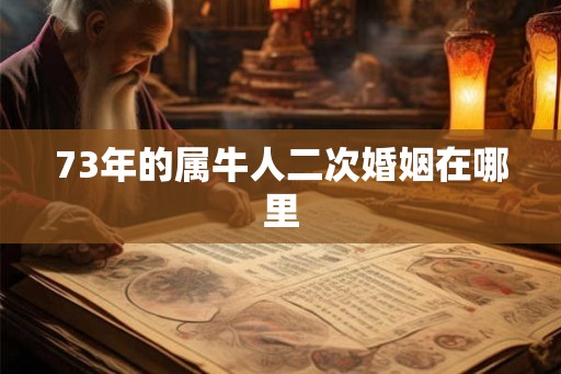 73年的属牛人二次婚姻在哪里