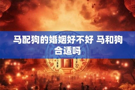 马配狗的婚姻好不好 马和狗合适吗 马配狗的婚姻好不好 马和狗合适吗