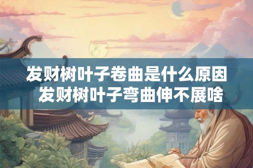 发财树叶子卷曲是什么原因 发财树叶子弯曲伸不展啥原因 发财树叶子卷曲是什么原因 发财树叶子弯曲伸不展啥原因