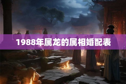 1988年属龙的属相婚配表 1988年属龙的属相婚配表