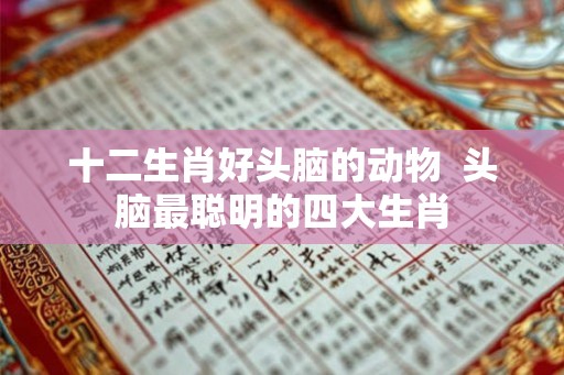 十二生肖好头脑的动物  头脑最聪明的四大生肖