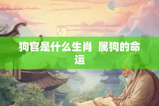 狗官是什么生肖  属狗的命运