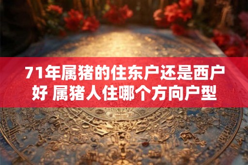 71年属猪的住东户还是西户好 属猪人住哪个方向户型好