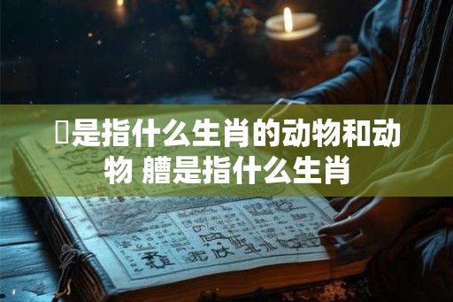 妰是指什么生肖的动物和动物 艚是指什么生肖