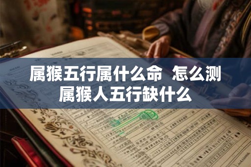 属猴五行属什么命  怎么测属猴人五行缺什么