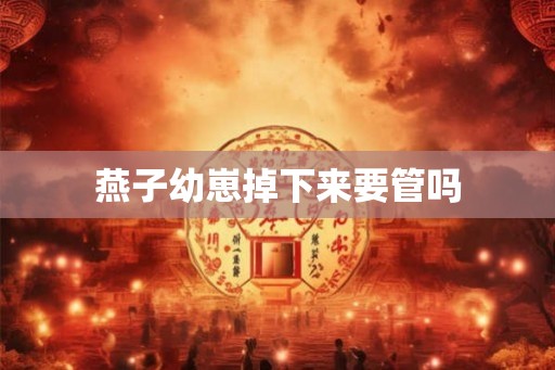 燕子幼崽掉下来要管吗
