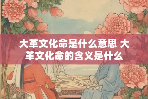 大革文化命是什么意思 大革文化命的含义是什么 大革文化命是什么意思 大革文化命的含义是什么