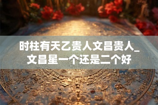 时柱有天乙贵人文昌贵人_文昌星一个还是二个好