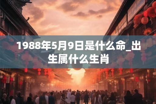 1988年5月9日是什么命_出生属什么生肖
