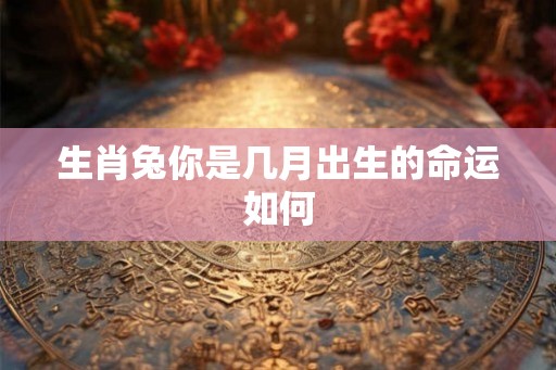 生肖兔你是几月出生的命运如何