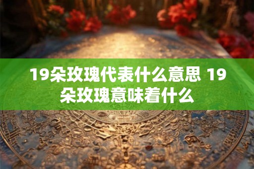 19朵玫瑰代表什么意思 19朵玫瑰意味着什么