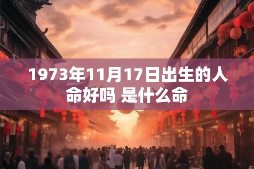 1973年11月17日出生的人命好吗 是什么命