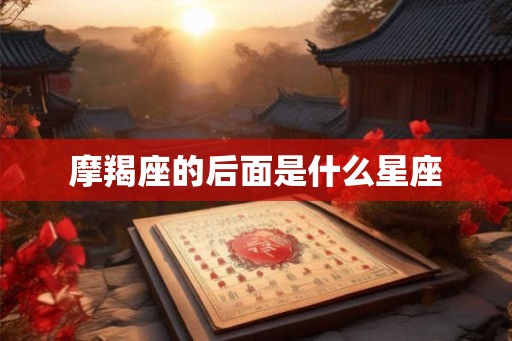 摩羯座的后面是什么星座