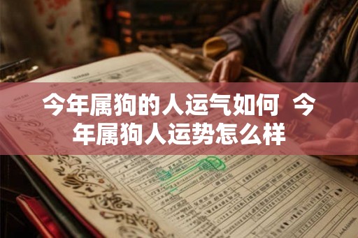 今年属狗的人运气如何  今年属狗人运势怎么样