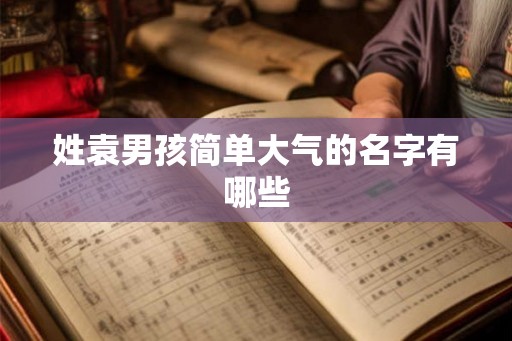 姓袁男孩简单大气的名字有哪些