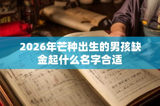 2026年芒种出生的男孩缺金起什么名字合适