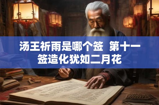 汤王祈雨是哪个签  第十一签造化犹如二月花