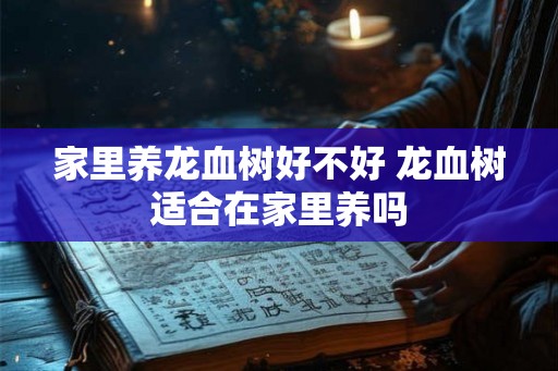 家里养龙血树好不好 龙血树适合在家里养吗