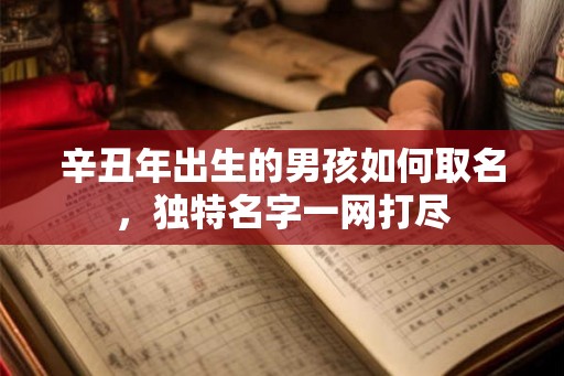 辛丑年出生的男孩如何取名，独特名字一网打尽