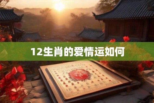 12生肖的爱情运如何