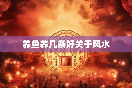 养鱼养几条好关于风水 养鱼养几条好关于风水