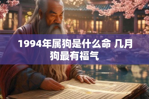 1994年属狗是什么命 几月狗最有福气